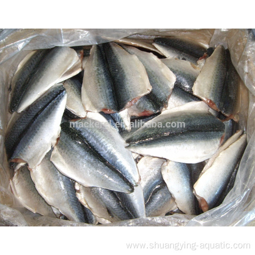 Cheap Price Frozen Mackerel Fish Mackerel Butterfly